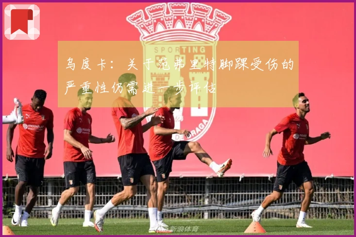 乌度卡：关于范弗里特脚踝受伤的严重性仍需进一步评估